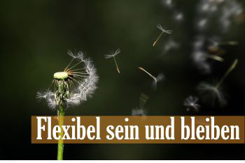 Flexibel sein und bleiben. Bildquelle: Canva