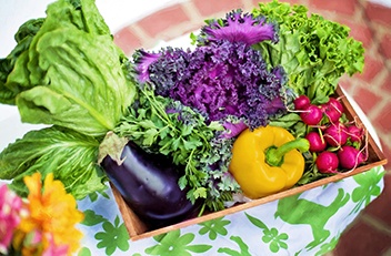 Eigenanbau Lebensmittel (Pixabay / Jill Wellington)
