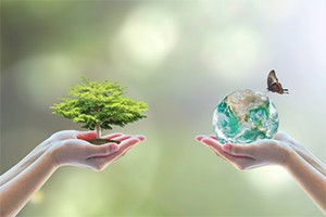 Nachhaltigkeit - Baum und Erde in Händen gehalten