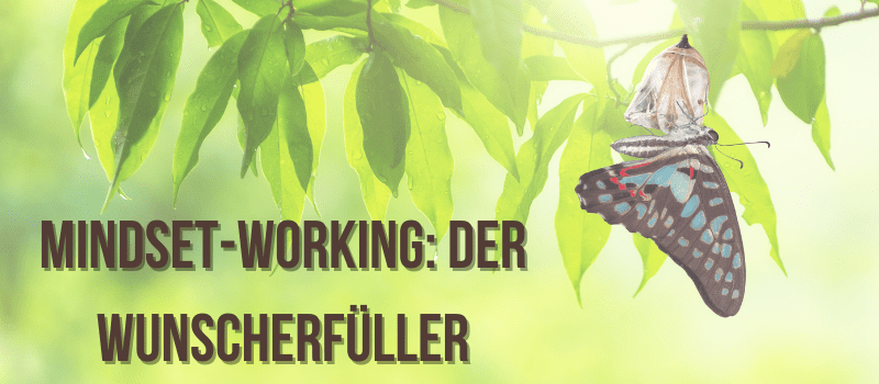 Mindset-Working: Der Wunscherfüller