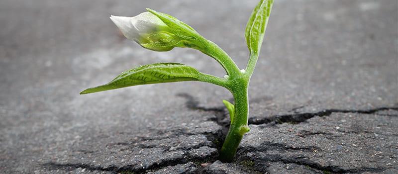 Die 7 Säulen der Resilienz