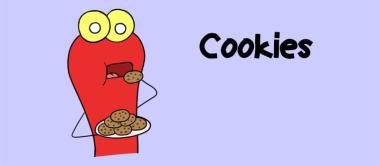 Cookie-Banner – neue Pflicht nach EuGH-und BGH-Urteil